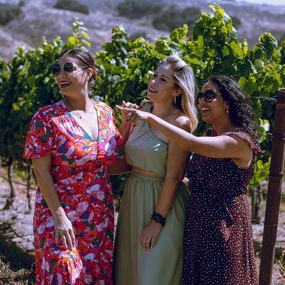 All-Inclusive Full-Day Wine Tasting Tour from Santa Ynez Valley