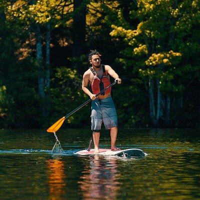 Full Day Paddleboard Rental in Acadia National Park