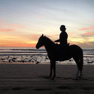 Horse Ride on the Beach From Awrir or Tamraght