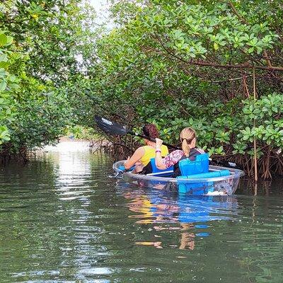 Clear Kayak Eco Tour in Jupiter, Florida