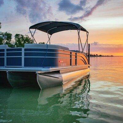 Private Sunset and Dolphin Cruises in Florida