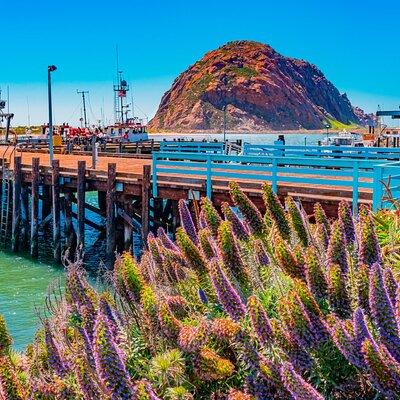 Morro Bay: Private 2 Hour Stroll & Savory Delights Tour