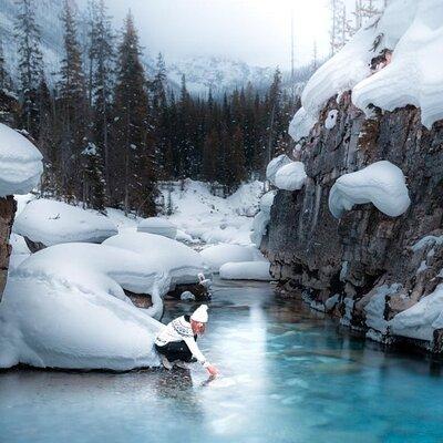 Marble and Johnson Canyon Ice Walk Tour from Canmore or Banff