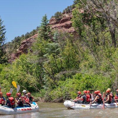 Telluride Afternoon Half-Day Rafting Tour on the San Miguel River