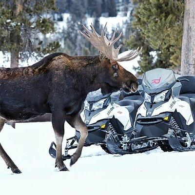 Turpin Meadow Ranch Snowmobiling in Jackson Hole 