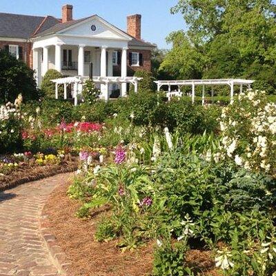 Day Trip to Charleston Tour #5: Bus Tour, Boone Plantation, Lunch and More