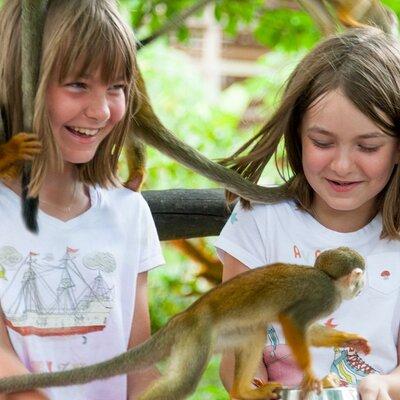 Punta Cana Monkeyland and Zipline Two Adventures in One Day