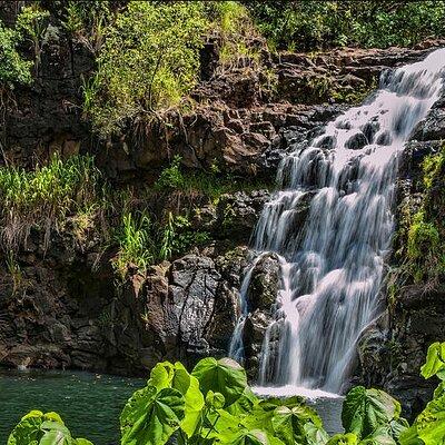 Circle Island Tour with Waimea Waterfall