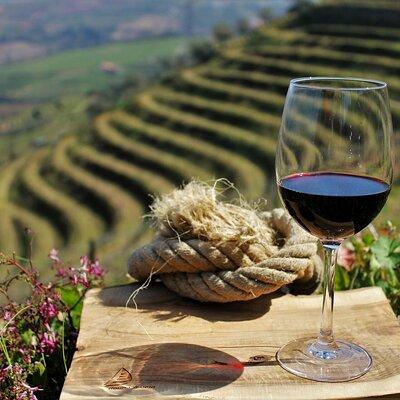 Douro Valley Tour: 3 Wineries, 9 Wine Tastings and Lunch