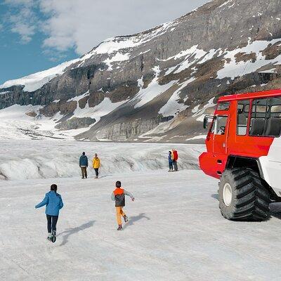 Full Day Tour in Columbia Icefields, Peyto lake and Bow lake