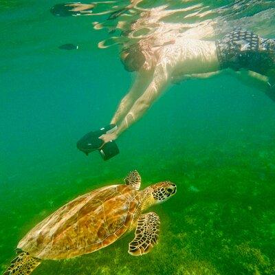Puerto Rico Jet Snorkel: Snorkel with Turtles