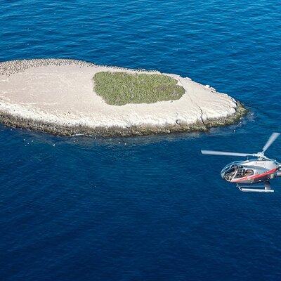 20-Minute Catalina Helicopter Tour