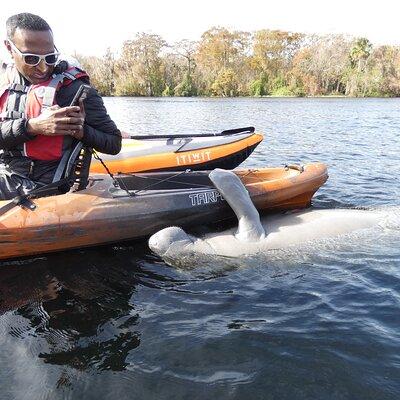Manatee Discovery Kayak Tour for Small Groups near Orlando