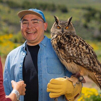 Experience Raptors and Falconry in Reno