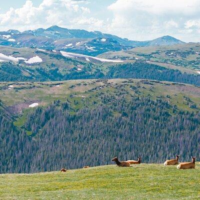 Summer Private Rocky Mountain National Park Driving Tour