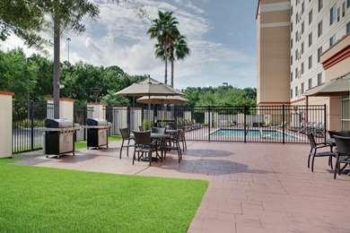 Homewood Suites By Hilton Tampa-Bra