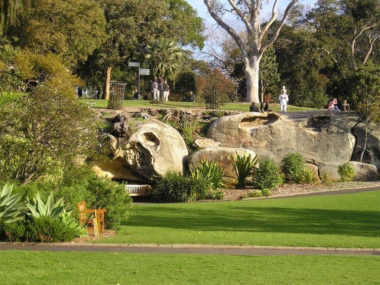 Royal Botanic Garden and The Domain