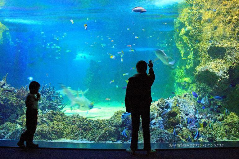 SEA LIFE® Sydney Aquarium