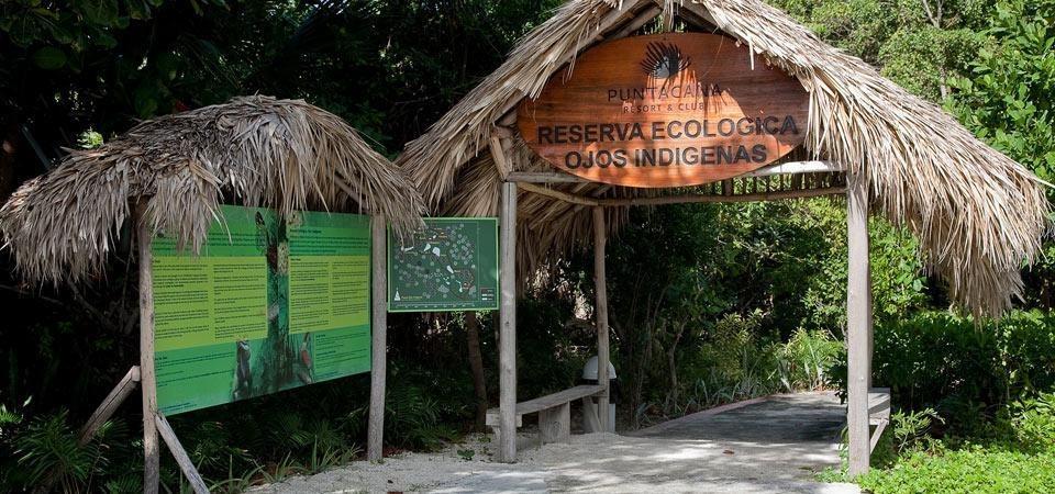 Indigenous Eyes Ecological Park and Reserve (Parque Ojos Indigenas)