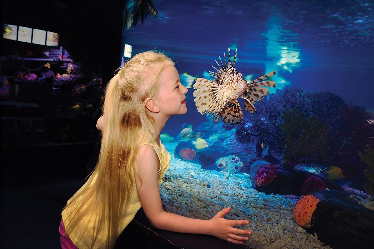 SEA LIFE® – Charlotte-Concord Aquarium