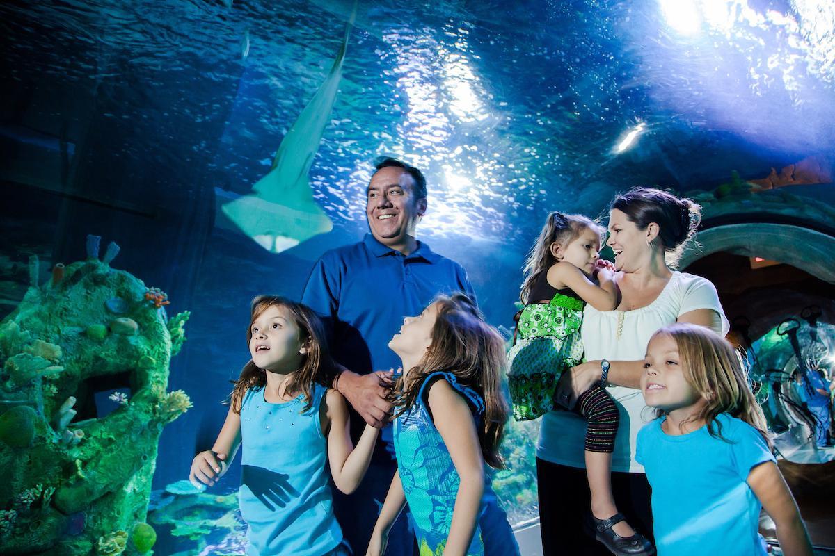 SEA LIFE® Minnesota Aquarium