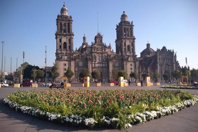 Private Tour of Mexico City with Anthropology