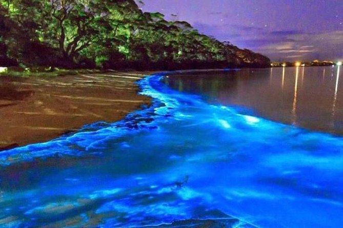 Luminous Lagoon (Glistening Waters) Night Tour