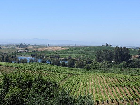 6 Hour Napa and Sonoma Valley Wine Tour from San Francisco