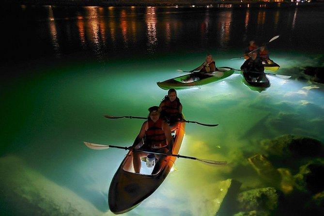 Sharkey's LED Illuminated Night Tour on Glass Bottom Kayaks in St. Pete Beach