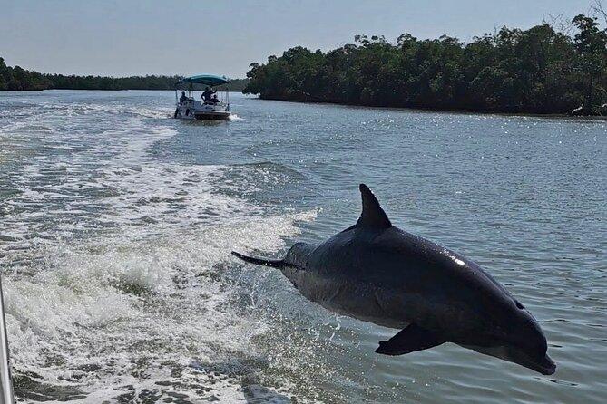 Manatee, Dolphin, and 10,000 Islands Eco Beach Tour by Boat