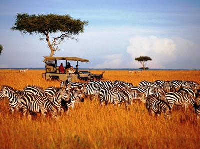 Wilderness Of Southern Africa: Safari By Land & Water