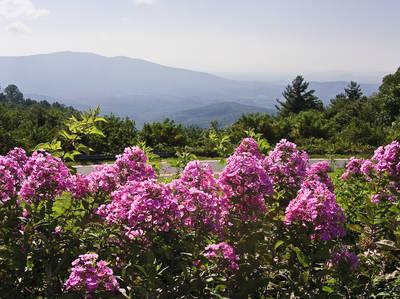 Great Smoky Mountains Scenic Expressway
